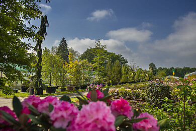 Westerstede