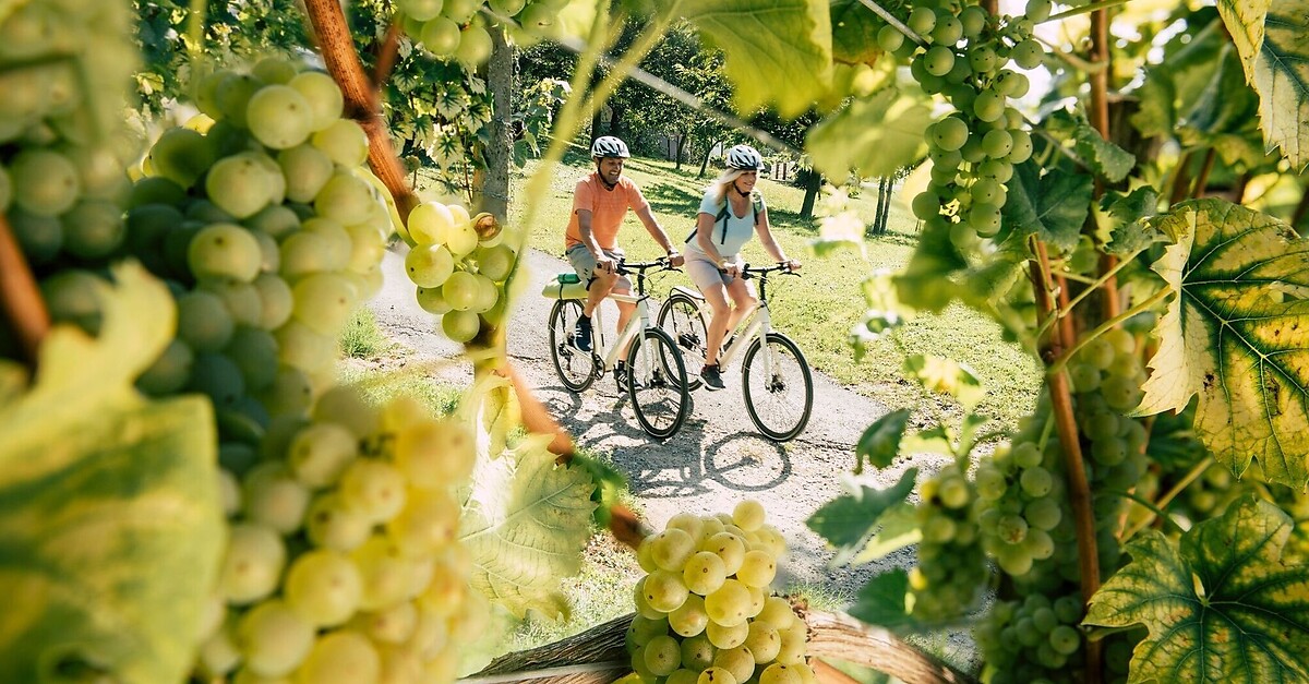 Harter TeichRadweg BERGFEX Radfahren Tour Steiermark