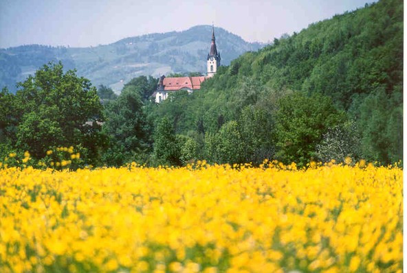 Koblach