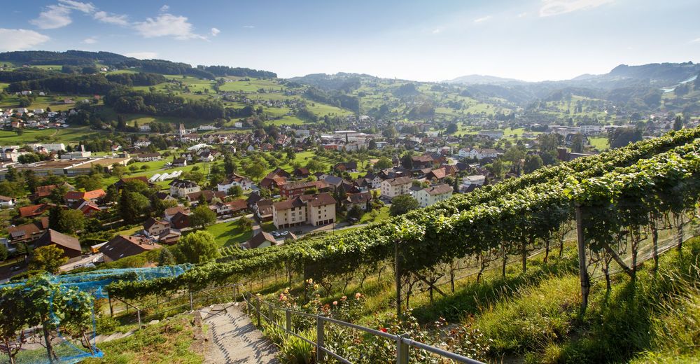 BERGFEX-Sehenswürdigkeiten - Rebkulturweg - Thal / Staad / Altenrhein