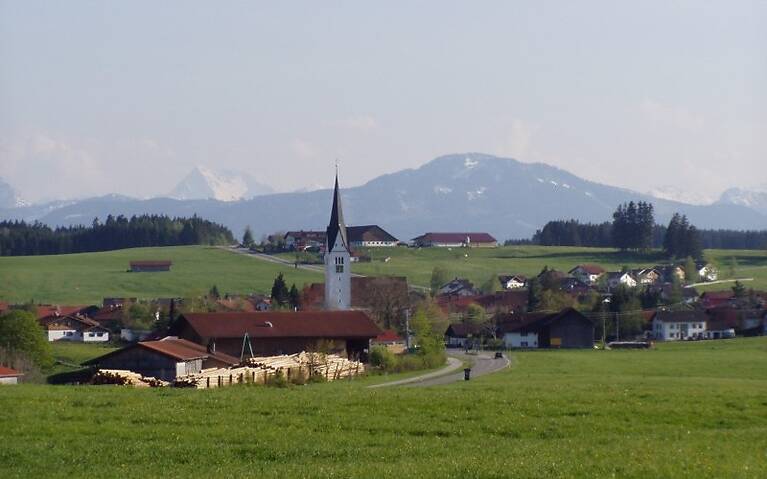 Wald im Allgäu