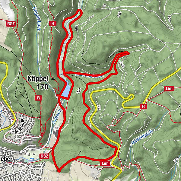 Zum Schwanenteich Zur Reithalle Köppel BERGFEX Wanderung Tour