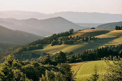 Bucklige Welt - Wiener Alpen