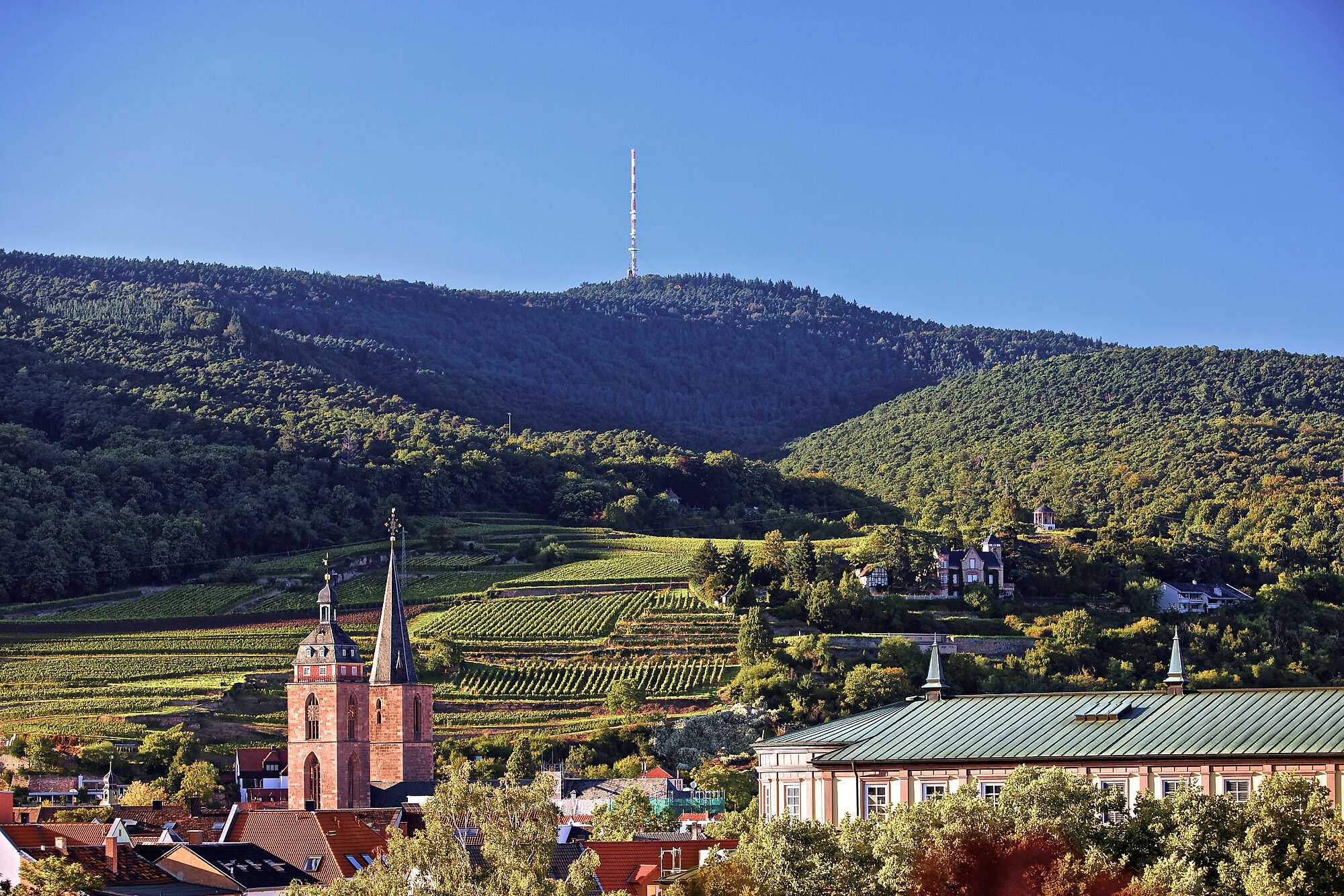 BERGFEX Neustadt an der Weinstraße Urlaub Neustadt an der Weinstraße