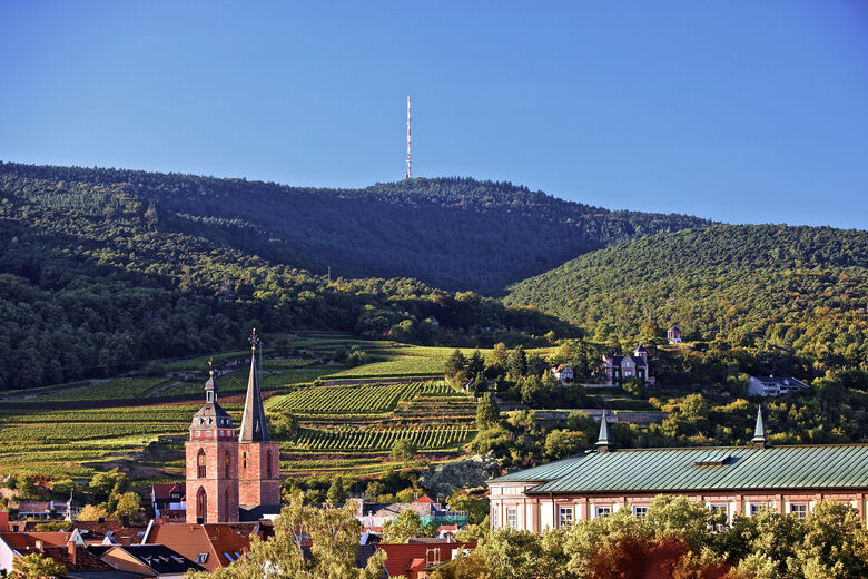 Neustadt an der Weinstraße