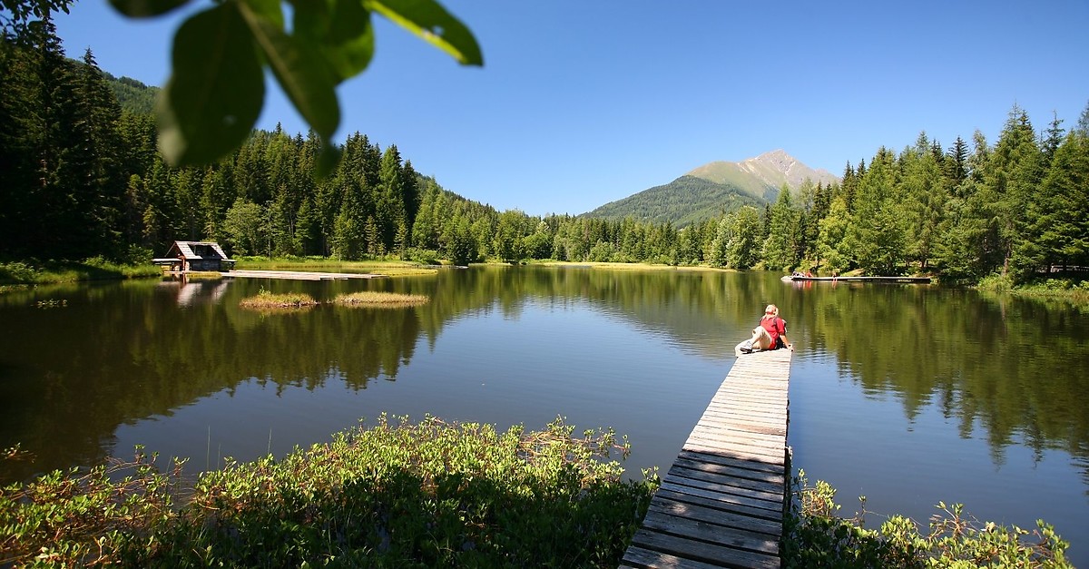 BERGFEXBadesee Schattensee Naturbadesee Viz . Koupání Plavání