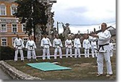 Goju Ryu-Karateclub