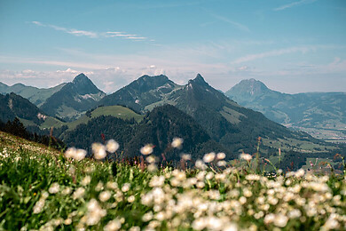 La Gruyère