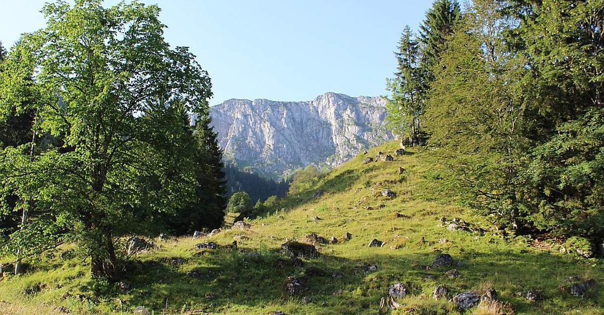 Benediktenwand (1801 m) - BERGFEX - Wanderung - Tour Bayern