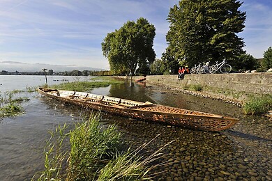 Arbon