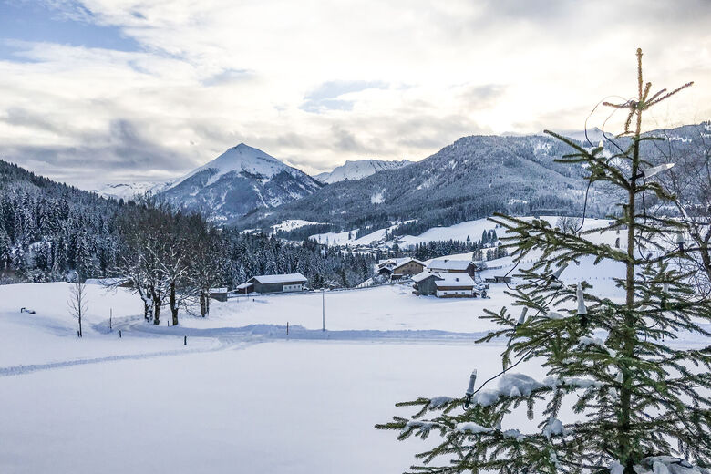 Chalet Tuxer