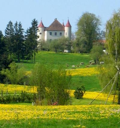 Markt Wald