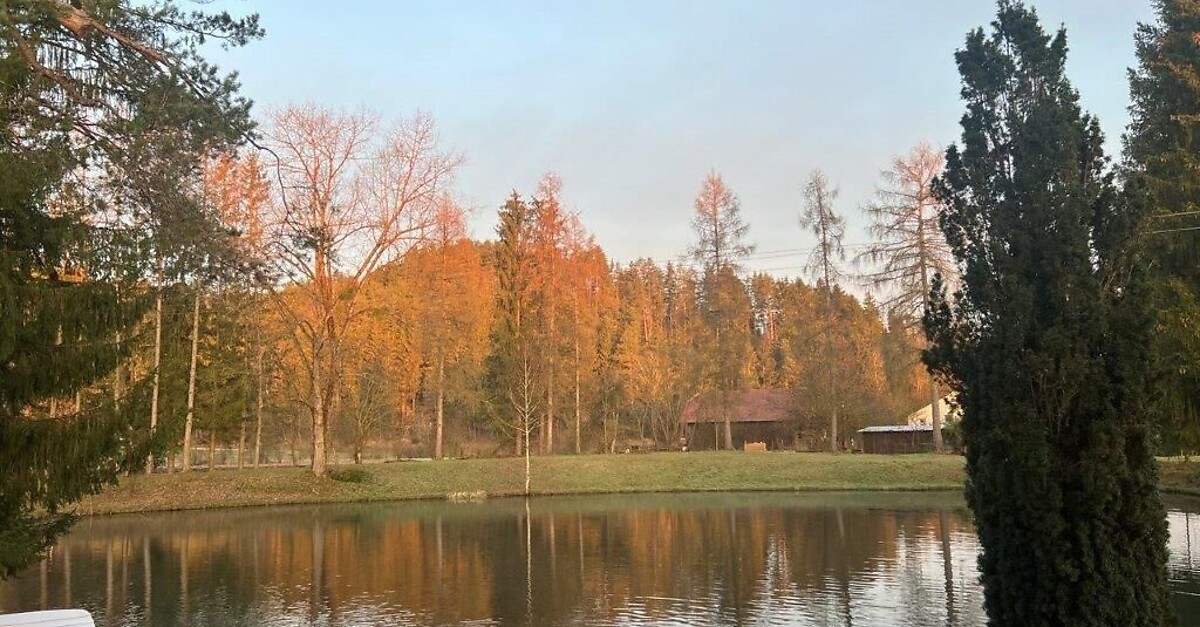 Haus am Fischteich Ferienwohnung St. Michael ob Bleiburg Feistritz ob