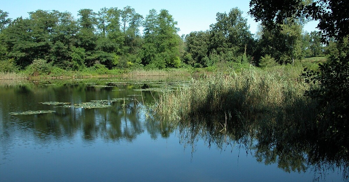 Mercurago Lagoni Park BERGFEX Mountainbike Tour Piemont