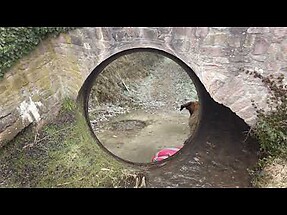 Rundwanderung Eguisheim - Lippische Schweiz