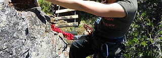 Klippitztörl
