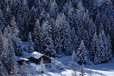 Cogne