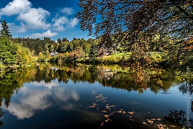 Dachsberg Hotzenwald