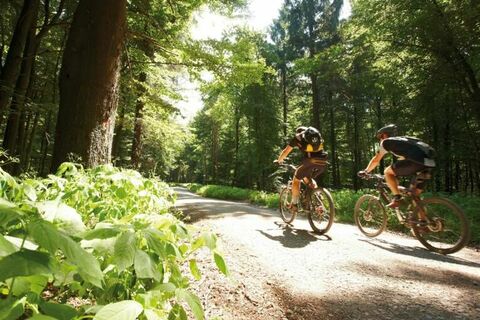 Mountainbiken Hannover