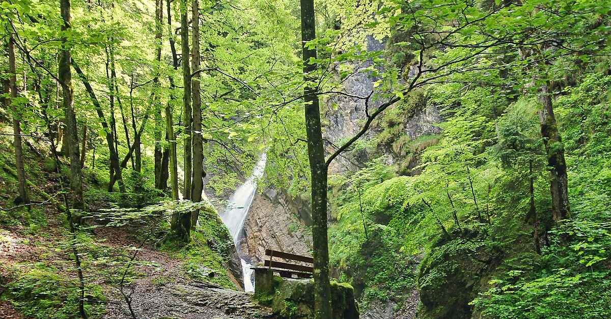 Wasserfall Berg Sachranger Runde BERGFEX Wanderung Tour Bayern