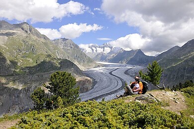 Aletsch Arena