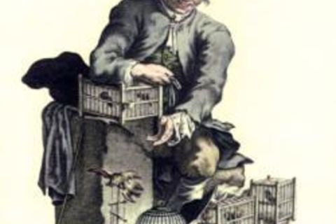 Vogelkramer