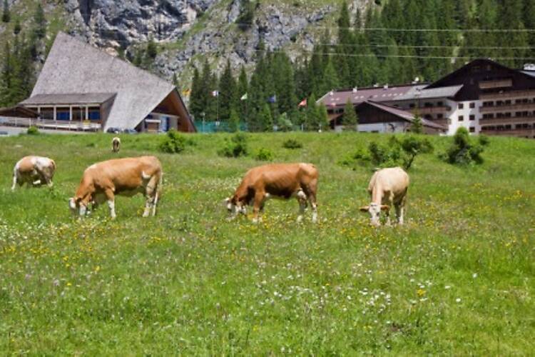 Malga Ciapela