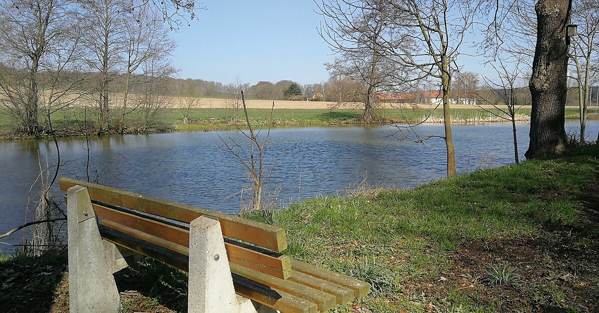 Von Wüstendittersdorf zum Neuen Teich BERGFEX Wanderung Tour