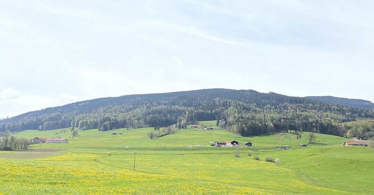Teisendorf_Stoisseralm BERGFEX Wanderung Tour Bayern