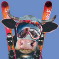 Logo Entre Les Fourgs / Jougne