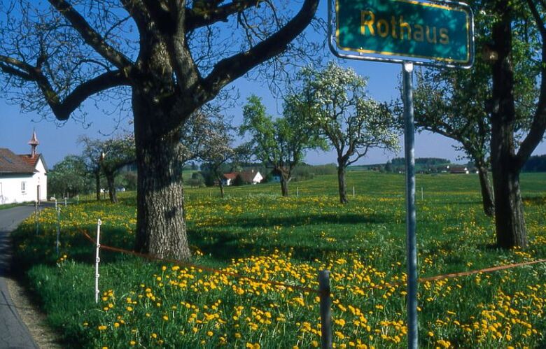 Region Waldburg
