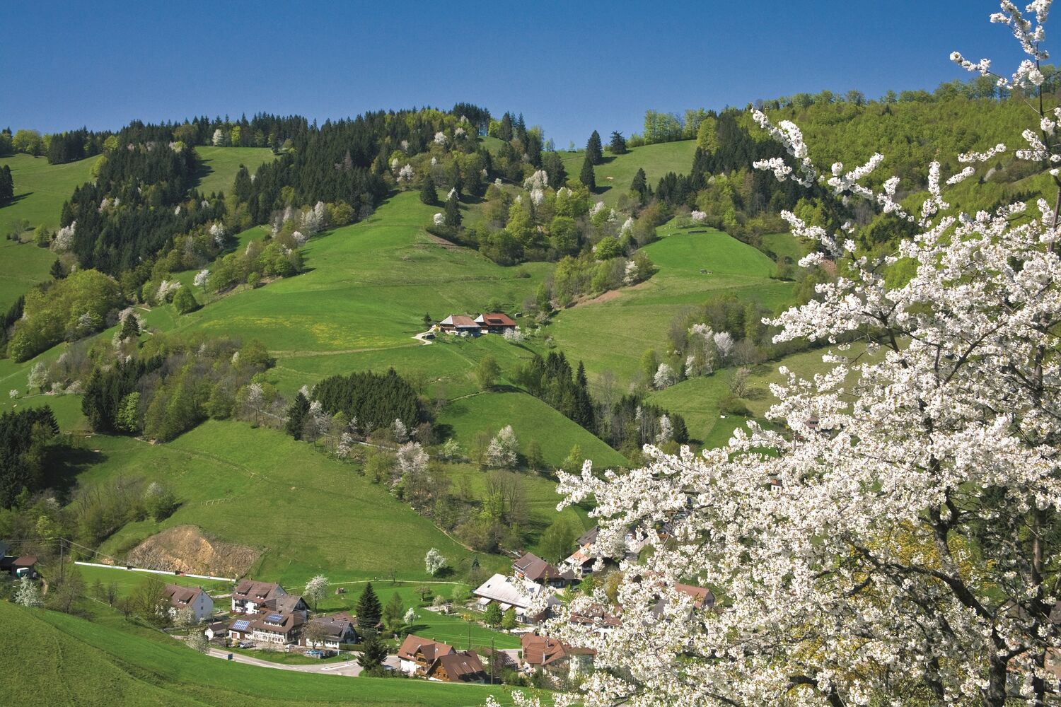 Münstertal