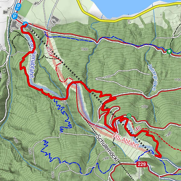 W9 MTB Trail Weissensee BERGFEX Mountainbike Tour Kärnten