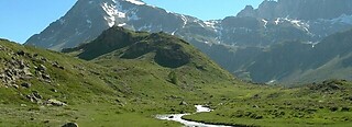 Ollomont