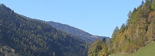 Pusterwald