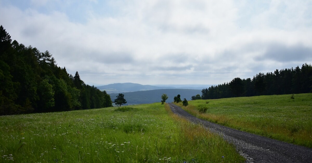 Rhön Rundweg 4 Oberelsbach Rhön Bergfex Wanderung Tour Bayern 0855