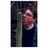 Avatar de Henning Lebowski