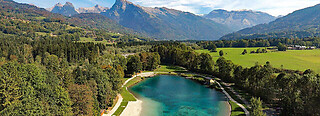 Morillon