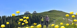 Jakobsbad - Kronberg