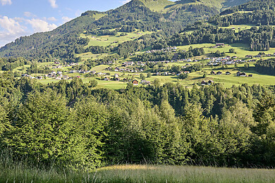 Thüringerberg
