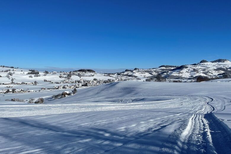 Hapfere