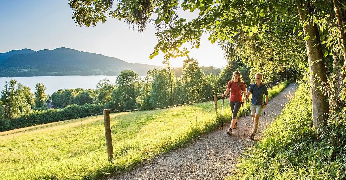 Tegernseer Höhenweg - Süd - BERGFEX - Wanderung - Tour Bayern