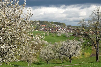 Baselland