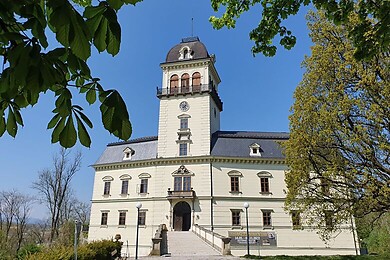 Tollet