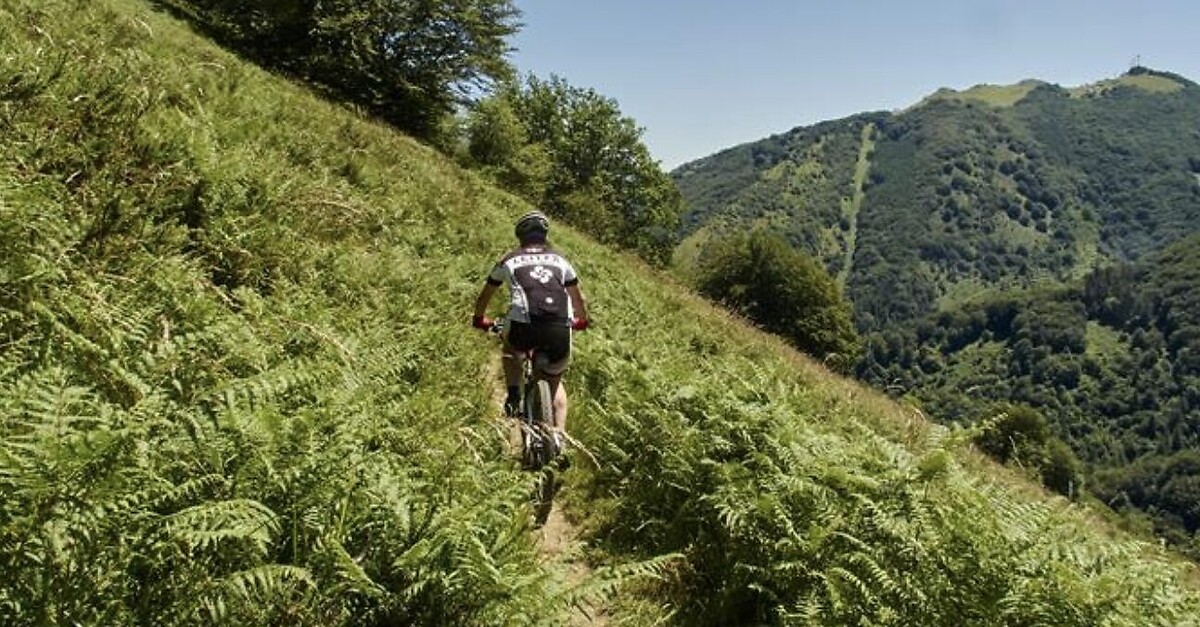Vía Verde del Plazaola BERGFEX Wanderung Tour Navarra