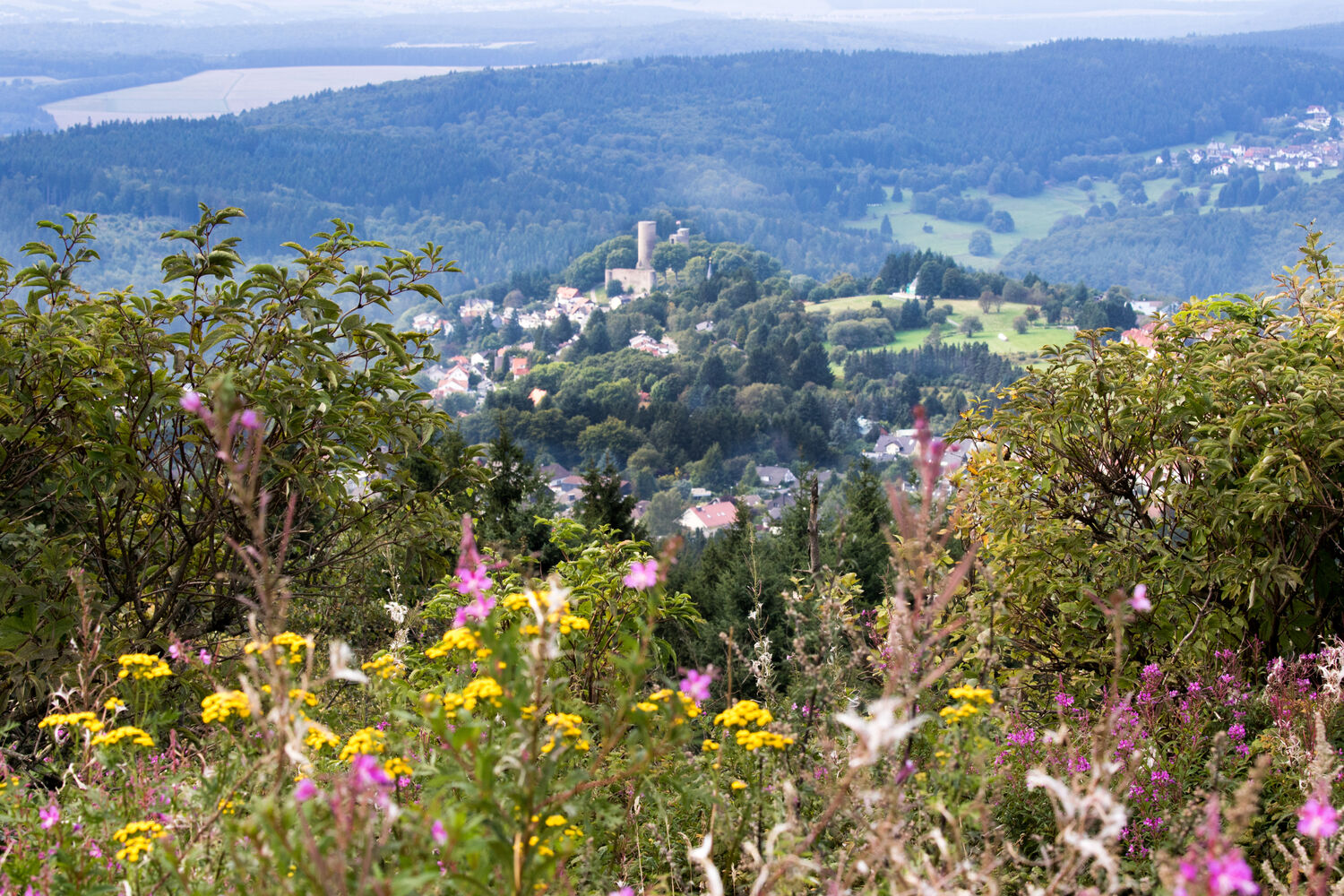 Taunus