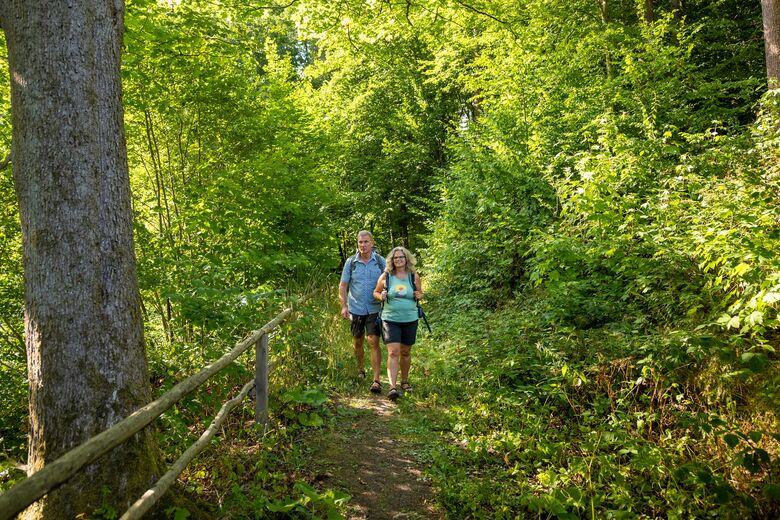 GrimmHeimat NordHessen