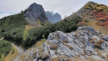 Bürgeralm – Schönleitenhaus - Hackentörl Singletrail 02.10.2021