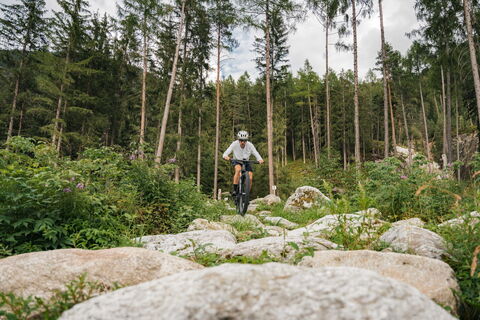 MTB Area
