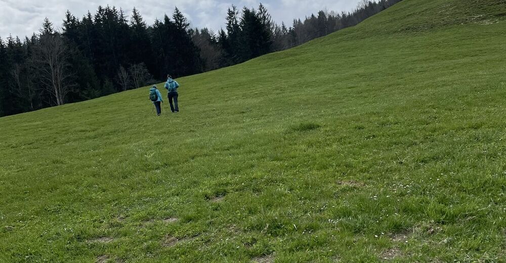 Schönengrund Hochhamm Schönengrund BERGFEX Wanderung Tour